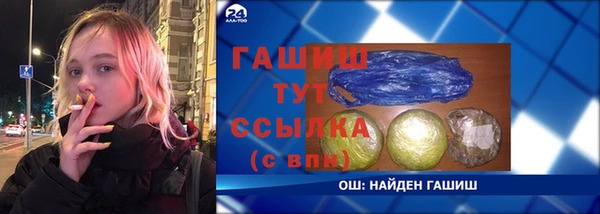 мдпв Инта